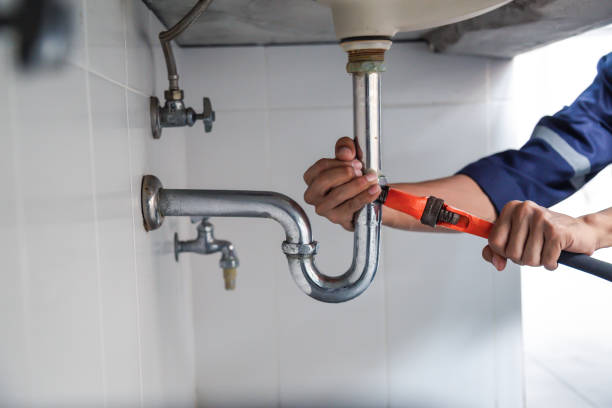 Best Commercial Plumbing Services  in North Chicago, IL